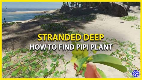 stranded deep pipi plant  Obtained from cutting up yellow coconuts, drink the contents first to prevent wastage